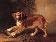 Benjamin Marshall A Celebrated spaniel,the property of colonel joliffe,in a landscape with a woodcock oil painting on canvas